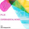 Experimental Noises (Original Mix) - P.I.X.