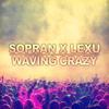 Waving Crazy (Extended Mix) - Sopran&Lexu