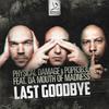 Last Goodbye (Original Mix) - Physical Damage&Popr3b3l&Da Mouth of Madness