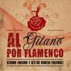 Quiero llenarme de tí (version flamenco) - Geromo Amador&Hector Romero