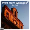 What You're Waiting For (Summer of Love Mix) - Brac Phunk