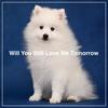 Will You Still Love Me Tomorrow (Instrumental) - Ken Watanabe