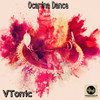 Ocarina Dance (Original Mix) - VTonic