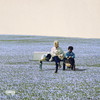 Het Is Wat Het Is (Explicit) - Idaly&Benjamin