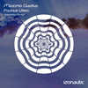 Positive Vibes (Stygmalibra Extended) - Maximo Gladius&Stygmalibra