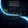 Somewhere (Melodic Mix) - Sensi