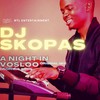 a night in vosloo - DJ Skopas