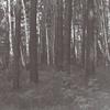 Ground - Blear Moon