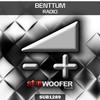 Crowd - Benttum