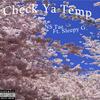 Check Ya Temperature (feat. Sleepy G) (Explicit) - NS Tae&Sleepy G