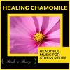 Ambient Mellow (Original Mix) - Brian Thetus