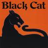You Better Start Talking - BLACK CAT