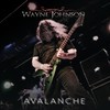 Avalanche - Wayne Johnson