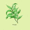 eucalyptus - SMUV