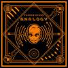 Analogy (Original Mix) - Thomas Evans