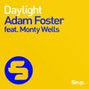 Daylight (Radio Mix) - Adam Foster&Monty Wells