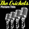 Too Much Monday Morning - The Crickets&J. I. Allison
