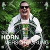 Da issa wieder (feat. DJ Skyroc) - Mac Horn&Dj Skyroc