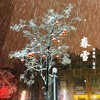 春雪 - 刘洋