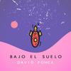 Bajo el Suelo - David Ponce