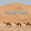 Camel Walk - Saundra Mallet & The Vandellas