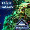Platskom (Fabrice Torricella Remix) - Fely B