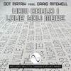 How Could I Love You More (Evolved Dub) - Dot Matrix&Craig Mitchell&Evolved