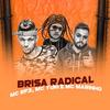 Brisa Radical (Explicit) - MC RF3&MC Yuri&MC Marinho