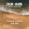 Crash Down on Me - Dux n Bass&Sally Klater&Monika Cefis&Gregor van Offeren&Quinten Pols&Tvzetin Todorov