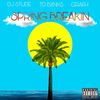 Springbreakin(feat. Grafh) (Explicit) - DJ Stude&T'D BXNKS&Grafh