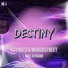 Destiny(feat. K3YASM0) - K3YN0T3&Whackstreet&K3YASM0