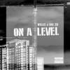 On a Level - Big Zo&Willis