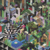 Fitzroy (Zebra Centauri Remix) - Soukie & Windish