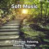Ambient Music - Sleeping Music&instrumental&Deep Sleep
