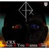 Even If You Wanna Bang - CRX