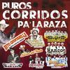 Los Traficantes - Los Halcones De San Luis