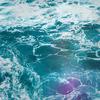 Perdoname(Bonus Track) (Explicit) - Volte