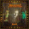 Déjà Vu (feat. Amla & Solana The Artist) - Kundalini Project&Amla&Solana The Artist
