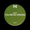 You're So Wrong (Original Mix) - Nizzy