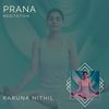 Feel The Vibe (Original Mix) - Karuna Nithil
