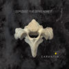 Carantine (Denis Newset Remix) - Dopedust&Denis Newset