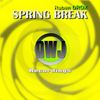 Spring Break (Original Mix) - Ruben Drox