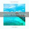 Recharge to the Best Noises of Waves - Sleep Lab
