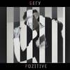 Бегу (Explicit) - Pozitive