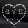 BYE </3 - LEEX