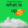 what is up - Voxbyy10k&Valious