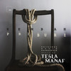 Simka Akarlangit - TESLA MANAF