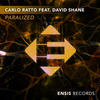 Paralized (Extended Mix) - Carlo Ratto&David Shane