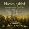 Hummingbird Chill Mix(feat. Cyndy Fike) (DJ Taz Rashid & Momentology Remix) - Equanimous&Cyndy Fike&DJ Taz Rashid&Momentology