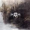 Dimfard - Skogen